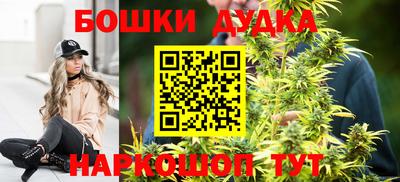 стафф Обь