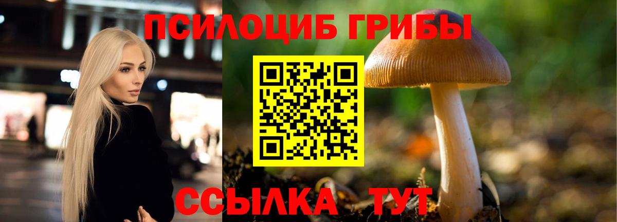 Псилоцибиновые грибы мицелий  Вход с VPN  Трёхгорный  Галлюциногенные грибы прущие грибы 